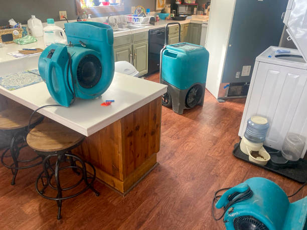 Best Sewage cleanup and water damage restoration  in Bremen, GA