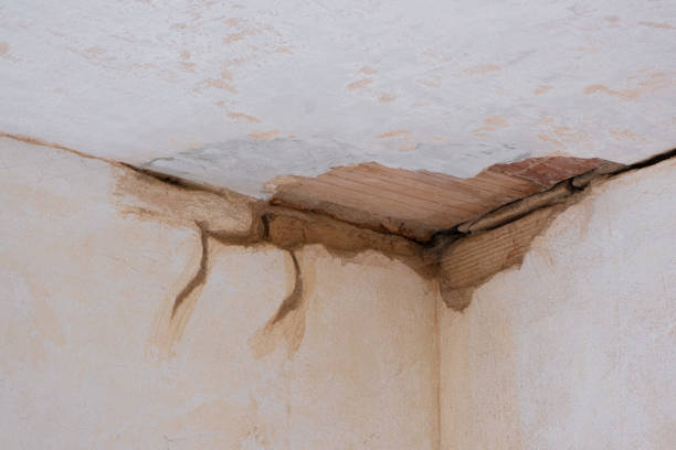 Best 24/7 water damage repair  in Bremen, GA