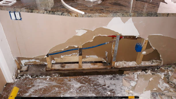 Best Flood damage cleanup  in Bremen, GA