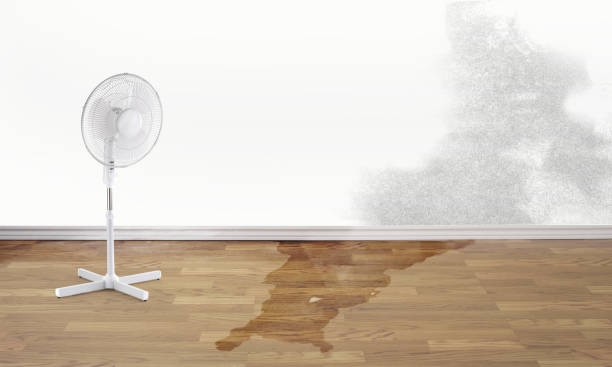 Best Water damage restoration near me  in Bremen, GA