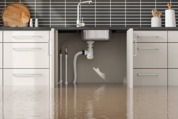Best Fire Damage Restoration  in Bremen, GA