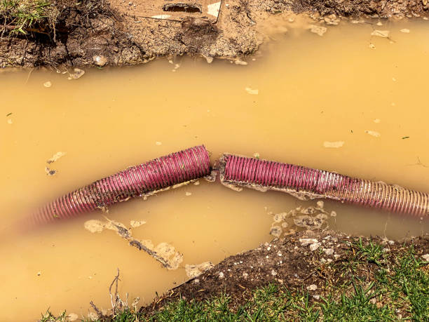 Best Mold removal after water damage  in Bremen, GA