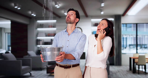 Best Water damage contractors near me  in Bremen, GA